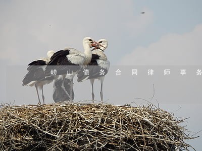 崂山债务合同律师事务所 崂山债务合同律师事务所