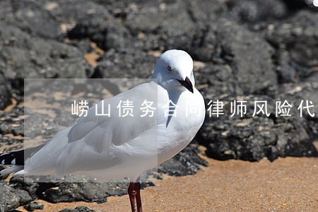 崂山债务合同律师风险代理 崂山债务合同律师风险代理