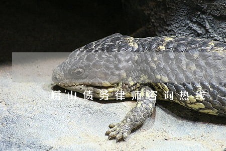 崂山债务律师咨询热线 崂山债务律师咨询热线