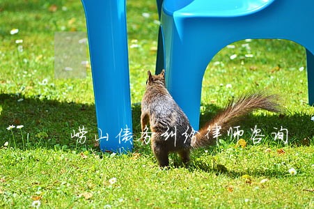 崂山债务纠纷律师咨询 崂山债务纠纷律师咨询