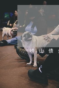 崂山债务纠纷律师咨询电话 崂山债务纠纷律师咨询电话