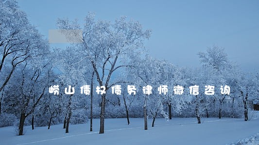 崂山债权债务律师微信咨询 崂山债权债务律师微信咨询