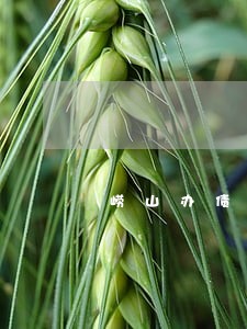 崂山办债务律师哪个好 崂山办债务律师哪个好