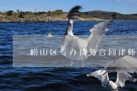 崂山区专办债务合同律师收费