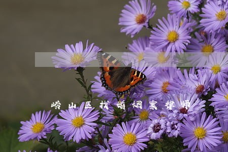 崂山区找婚姻案律师 崂山区找婚姻案律师