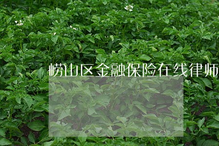 崂山区金融保险在线律师 崂山区金融保险在线律师