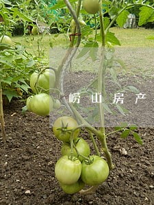 崂山房产合同律师 崂山房产合同律师