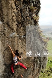 崂山知识产权纠纷律师