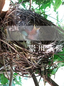 崇川法院家事法庭 崇川法院家事法庭