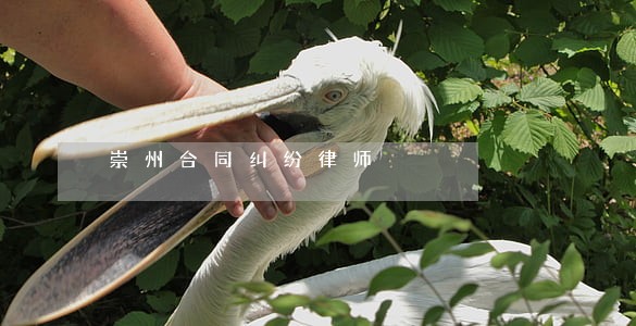崇州合同纠纷律师 崇州合同纠纷律师