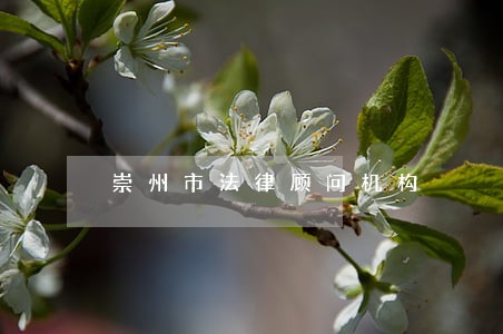 崇州市法律顾问机构 崇州市法律顾问机构