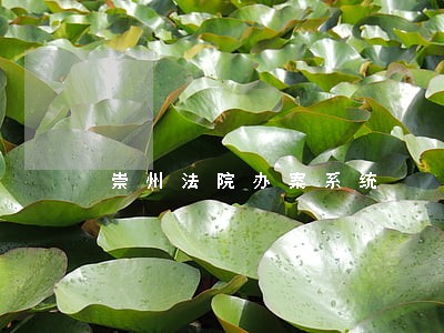崇州法院办案系统 崇州法院办案系统
