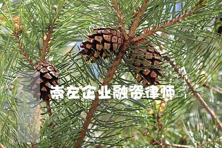 崇左企业融资律师 崇左企业融资律师