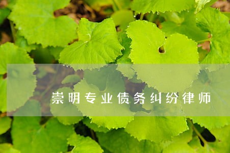 崇明专业债务纠纷律师 崇明专业债务纠纷律师