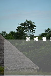 崇明专注合同律师咨询电话