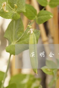 崇明企业律师咨询费 崇明企业律师咨询费