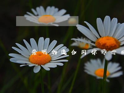崇明伪造合同律师价格 崇明伪造合同律师价格