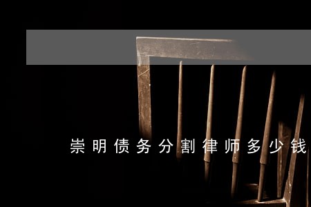 崇明债务分割律师多少钱 崇明债务分割律师多少钱