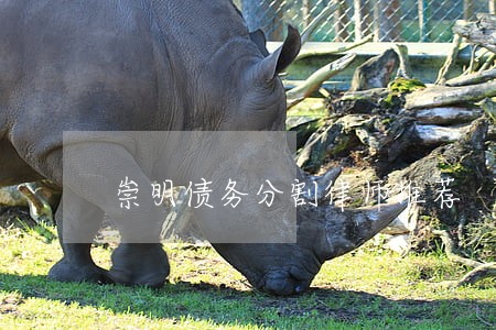 崇明债务分割律师推荐 崇明债务分割律师推荐