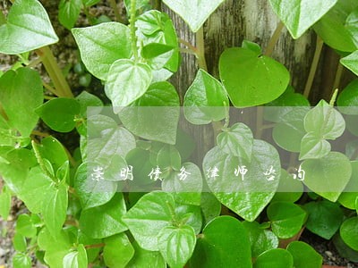 崇明债务律师咨询 崇明债务律师咨询