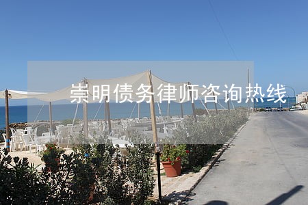 崇明债务律师咨询热线 崇明债务律师咨询热线