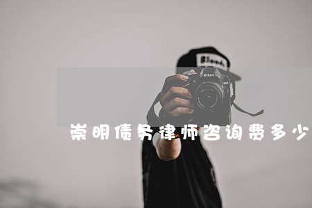 崇明债务律师咨询费多少 崇明债务律师咨询费多少