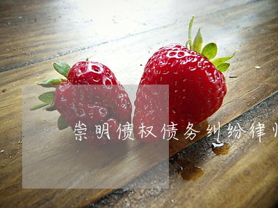 崇明债权债务纠纷律师 崇明债权债务纠纷律师