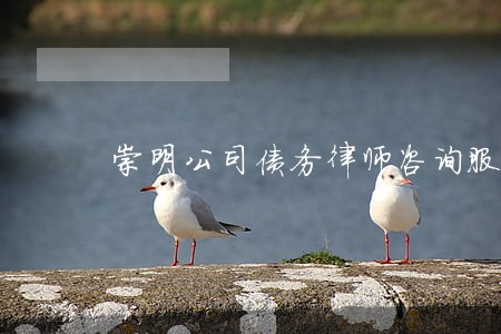 崇明公司债务律师咨询服务 崇明公司债务律师咨询服务