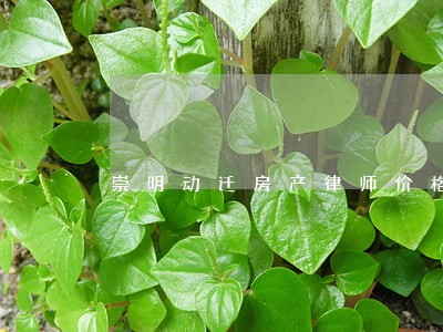 崇明动迁房产律师价格 崇明动迁房产律师价格