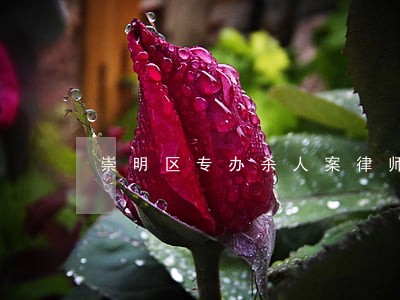 崇明区专办杀人案律师 崇明区专办杀人案律师