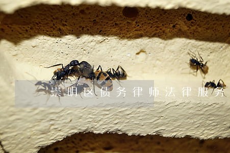 崇明区债务律师法律服务哪家好 崇明区债务律师法律服务哪家好