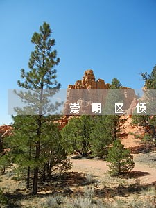崇明区债务律师法律服务在线咨询