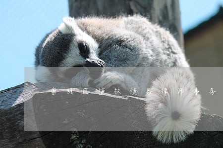 崇明区债权债务律师事务所 崇明区债权债务律师事务所