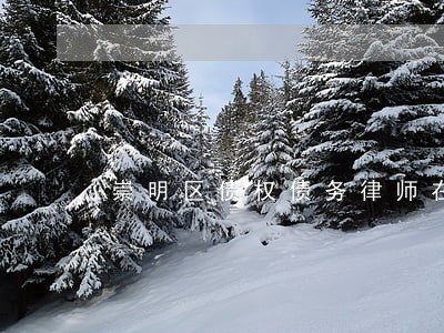 崇明区债权债务律师在线免费咨询 崇明区债权债务律师在线免费咨询