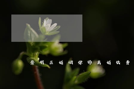 崇明区婚姻律师离婚收费标准