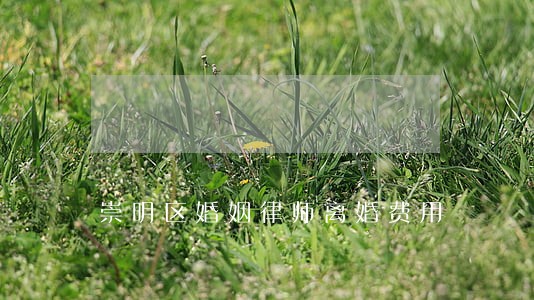 崇明区婚姻律师离婚费用 崇明区婚姻律师离婚费用