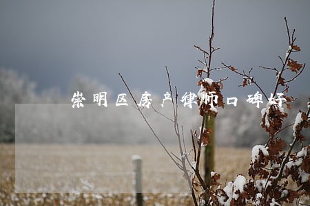 崇明区房产律师口碑好 崇明区房产律师口碑好