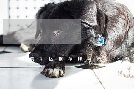 崇明区推荐拘留律师服务 崇明区推荐拘留律师服务