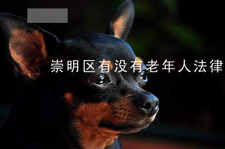 崇明区有没有老年人法律援助中心 崇明区有没有老年人法律援助中心