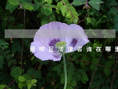 崇明区法律咨询在哪里 崇明区法律咨询在哪里