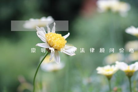 崇明区聘用法律顾问价格 崇明区聘用法律顾问价格