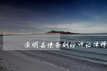 崇明县债务纠纷诉讼律师咨询 崇明县债务纠纷诉讼律师咨询