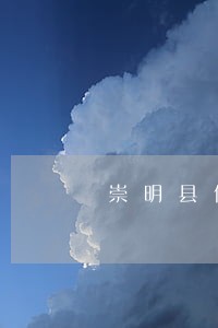 崇明县债务诉讼纠纷律师咨询 崇明县债务诉讼纠纷律师咨询