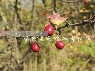 崇明县区婚姻诉讼律师 崇明县区婚姻诉讼律师