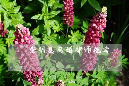 崇明县离婚律师规定 崇明县离婚律师规定