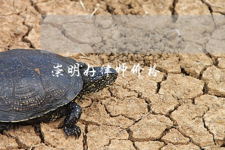 崇明好律师价格 崇明好律师价格