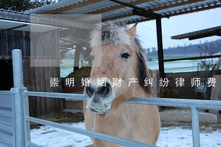 崇明婚姻财产纠纷律师费用 崇明婚姻财产纠纷律师费用