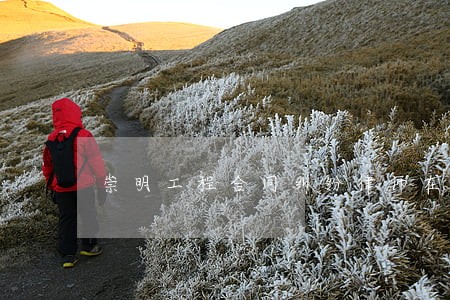 崇明工程合同纠纷律师在线咨询