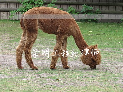 崇明工程款律师
