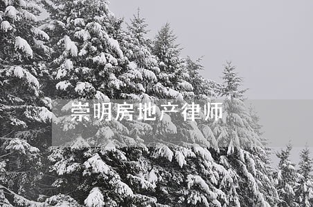 崇明房地产律师 崇明房地产律师